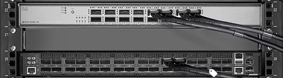 QSFPDD-400G-DAC0.5M 400G QSFPDD To QSFPDD (Direct Attach Cable) Cables (Passive) 0.5M 400g Dac 1